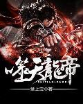 噬天龙帝 作者:掌上宝