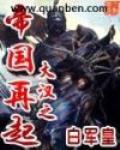大汉之帝国再起 作者:白军皇
