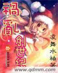祸乱创世纪 作者:凌舞水袖