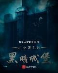 小小领主的黑暗城堡 作者:我家33爱看书