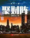 我有一座聚财阵 作者:极地风刃