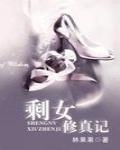 剩女修真记 作者:林果果
