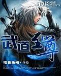武道至尊 作者:暗夜幽殇