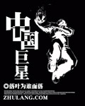中国巨星 作者:落叶为谁而落