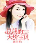 总裁的天价宝贝 作者:嘉荟