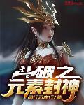 斗破之元素封神 作者:风行云亦行