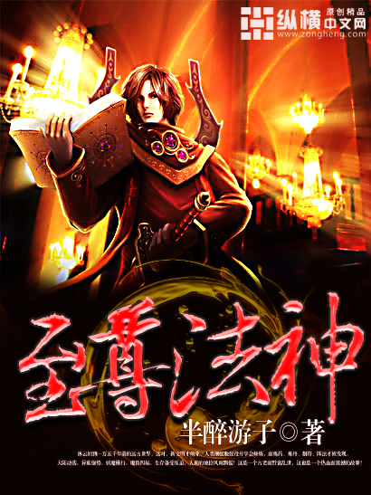 至尊法神 作者:半醉游子