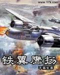 铁翼鹰扬 作者:不笑生