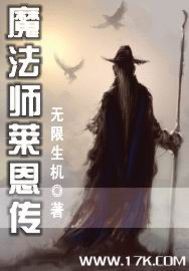 魔法师莱恩传 作者:无限生机
