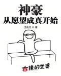 神豪从愿望成真开始 作者:戊戊戊