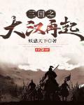 三国之大汉再起 作者:妖惑天下