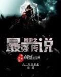 网游之最强传说 作者:八二年自来水