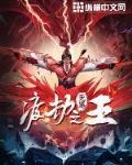 渡劫之王 作者:无罪