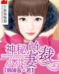 神秘总裁小小妻 作者:韩降雪