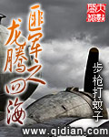 匪军之龙腾四海 作者:步枪打蚊子