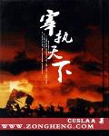 宰执天下 作者:cuslaa