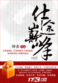 仕途巅峰 作者:钟表