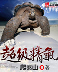 超级精气 作者:爬泰山