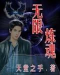无限炼魂 作者:天堂之手