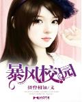 暴风校园 作者:似曾相知