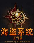 海盗系统 作者:正气蛋