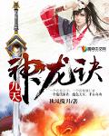 九天神龙诀 作者:秋风揽月