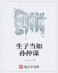生子当如孙仲谋 作者:一念长空
