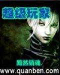 超级玩家 作者:黯然销魂