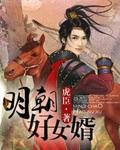 明朝好女婿 作者:虎臣