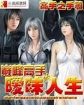 巅峰高手的暧昧人生 作者:高手之手