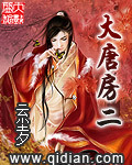 大唐房二 作者:云尘夕