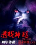 透视神眼 作者:朔尔