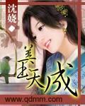 美玉天成 作者:沈娆