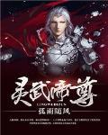 灵武帝尊 作者:孤雨随风