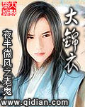 大锦衣 作者:夜半微风之老鬼