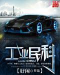 工业民科 作者:好闲