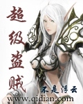 超级盗贼 作者:不是浮云
