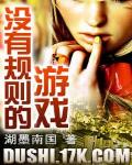 没有规则的游戏 作者:湖墨南国