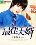 最佳夫婿 作者:大宋剑客
