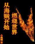 从海贼开始燃烧世界 作者:小黑帽