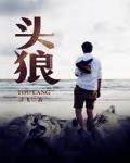 头狼 作者:寻飞
