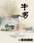 牛男 作者:报纸糊墙