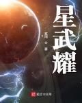 星武耀 作者:玄雨