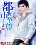 都市至尊 作者:风流人物