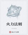 火力法则 作者:如水意