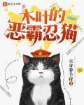 木叶的恶霸忍猫 作者:卖身葬节操