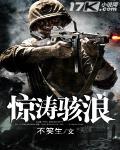 惊涛骇浪 作者:不笑生