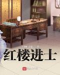 红楼进士 作者:王子的烦恼