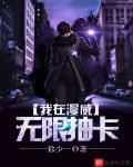 我在漫威无限抽卡 作者:徐少一