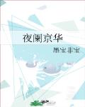 夜阑京华 作者:墨宝非宝